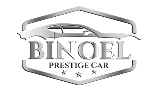 Logo Binoel Désaturé