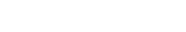 Logo Net Offensive_White